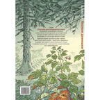 Лесные домишки. Рассказы и сказки, производитель ЭНАС-КНИГА , ISBN 978-5-00198-465-8, № 14
