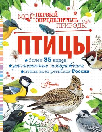 Птицы. Мой первый определитель природы Рахчеева М. В., производитель АСТ , ISBN 978-5-17147-500-0№ 1
