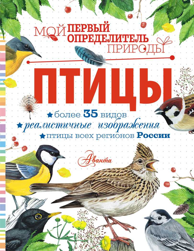 Птицы. Мой первый определитель природы Рахчеева М. В., производитель АСТ , ISBN 978-5-17147-500-0, № 1