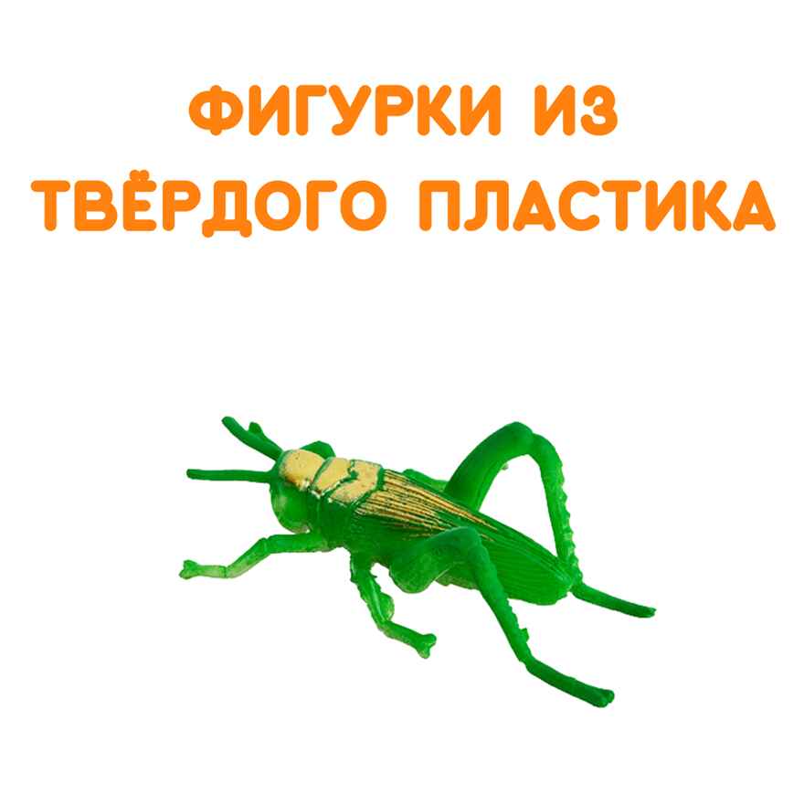 Фигурки Насекомые, арт. G-37, производитель BUMBARAM (БУМБАРАМ), ISBN 464-0-23917-031-8, № 2