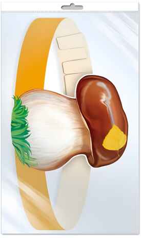 Маска-ободок. Гриб Боровик, арт. 00-00013005, производитель Сфера ТЦ , ISBN 463-0-07699-096-5№ 1