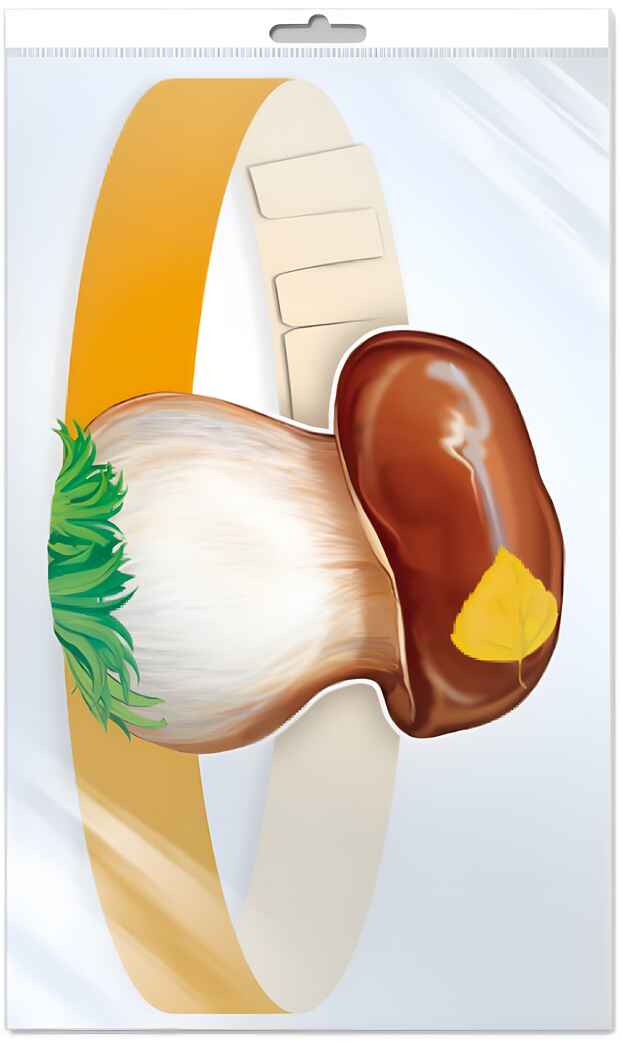 Маска-ободок. Гриб Боровик, арт. 00-00013005, производитель Сфера ТЦ , ISBN 463-0-07699-096-5, № 1