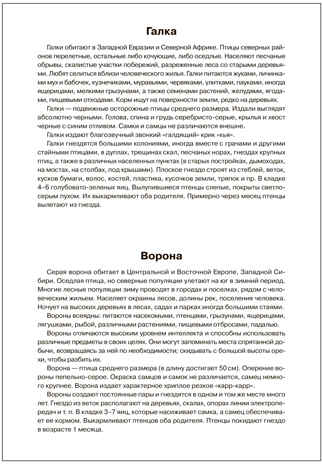 Мир в картинках. Птицы зимующие. ФГОС. ФОП, производитель МОЗАИКА-СИНТЕЗ , ISBN 978-5-43151-506-4№ 3