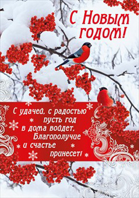 С Новым годом!, производитель Мир поздравлений, ISBN 46032629-4-10036-465-1, № 1