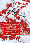 С Новым годом!, производитель Мир поздравлений, ISBN 46032629-4-10036-465-1, № 1