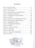 Чудесное путешествие Нильса с дикими гусями. Лагерлеф С.  Школьная библиотека, производитель Проф-Пресс , ISBN 978-5-37831-666-3, № 2