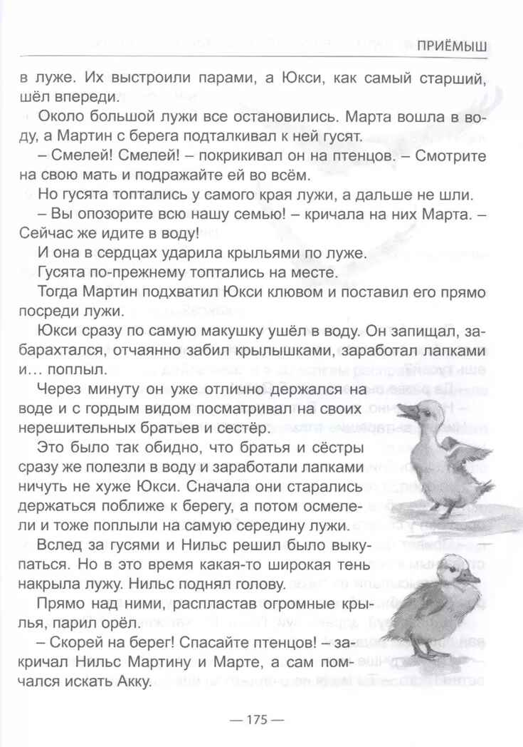 Чудесное путешествие Нильса с дикими гусями. Лагерлеф С.  Школьная библиотека, производитель Проф-Пресс , ISBN 978-5-37831-666-3, № 3