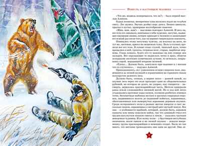 Повесть о настоящем человеке, производитель Махаон , ISBN 978-5-38926-277-5№ 4