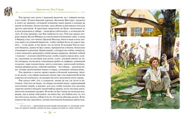 Том Сойер и Гекльберри Финн. Все приключения в одном томе, производитель Махаон , ISBN 978-5-38928-615-3№ 7