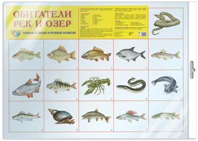 *Демонстрационный плакат СУПЕР А2 Обитатели рек и озер (в индивидуальной упаковке с европодвесом и клеевым клапаном), производитель Сфера ТЦ , ISBN 978-5-99492-077-0№ 1
