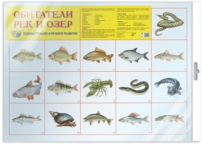 *Демонстрационный плакат СУПЕР А2 Обитатели рек и озер (в индивидуальной упаковке с европодвесом и клеевым клапаном), производитель Сфера ТЦ , ISBN 978-5-99492-077-0, № 1