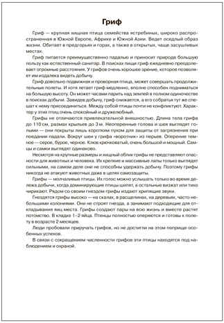 Мир в картинках. Птицы хищные. ФГОС. ФОП, производитель МОЗАИКА-СИНТЕЗ , ISBN 978-5-43151-508-8№ 3