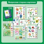 Учебное пособие Логико-Малыш Комплект карточек Цветы, арт. ЛМ-009, производитель ИД Зимородок, ISBN 978-5-98849-022-7, № 4