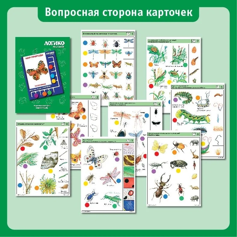 Учебное пособие Логико-Малыш Комплект карточек Насекомые, арт. ЛМ-007, производитель ИД Зимородок, ISBN 978-5-98849-010-4, № 4