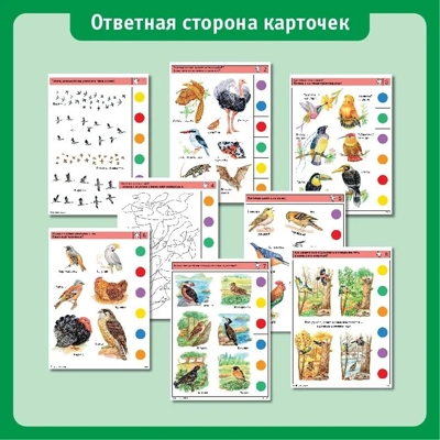 Учебное пособие Логико-Малыш Комплект карточек Птицы, арт. ЛМ-008, производитель ИД Зимородок, ISBN 978-5-98849-020-3 № 4