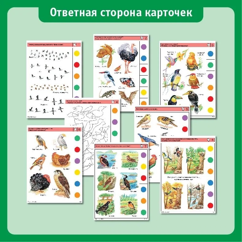 Учебное пособие Логико-Малыш Комплект карточек Птицы, арт. ЛМ-008, производитель ИД Зимородок, ISBN 978-5-98849-020-3, № 4