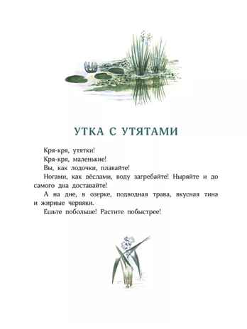 Большие и маленькие. Чарушин Е. И., производитель АСТ , ISBN 978-5-17162-137-7№ 2