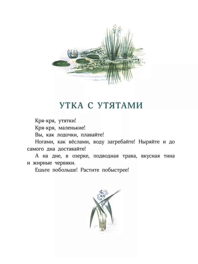 Большие и маленькие. Чарушин Е. И., производитель АСТ , ISBN 978-5-17162-137-7, № 2