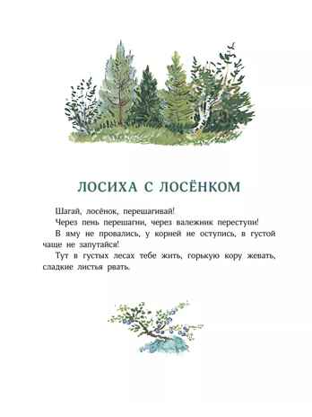 Большие и маленькие. Чарушин Е. И., производитель АСТ , ISBN 978-5-17162-137-7№ 6