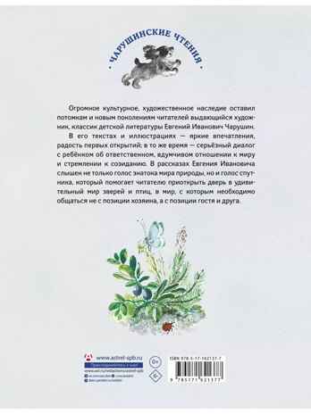 Большие и маленькие. Чарушин Е. И., производитель АСТ , ISBN 978-5-17162-137-7№ 8