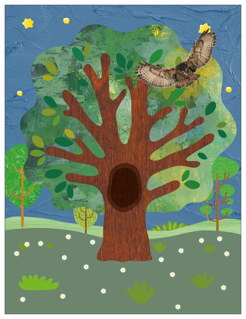 В лесу (Фотонаклейки), книжка с наклейками, производитель МОЗАИКА kids , ISBN 978-5-43154-567-2, № 6