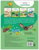 В лесу (Фотонаклейки), книжка с наклейками, производитель МОЗАИКА kids , ISBN 978-5-43154-567-2, № 7
