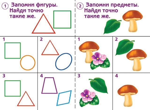 Готов ли ты к школе? Память, производитель «Весна-Дизайн» (ИП Бурдина С. В.), ISBN 200-0-00000-285-9, № 2