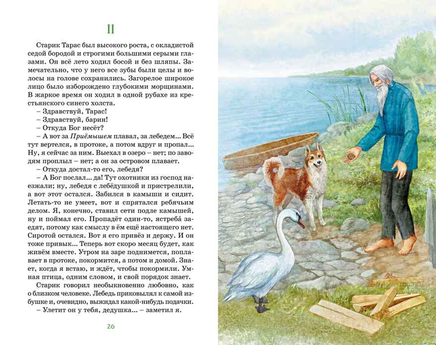 Серая шейка, производитель Махаон , ISBN 978-5-38928-500-2, № 5