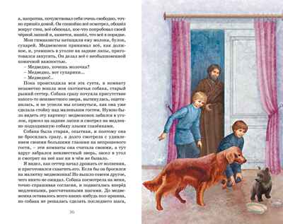 Серая шейка, производитель Махаон , ISBN 978-5-38928-500-2№ 7