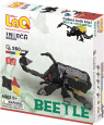 Insect world