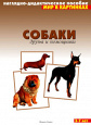 Мир в картинках